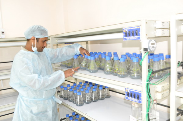 Tissue_Culture_Lab